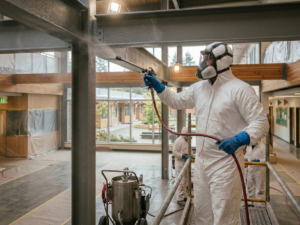 Fire Safety and Paint: Choosing the Right Products for School Buildings - Painting spraying school with fire coatings